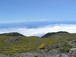 LaPalma